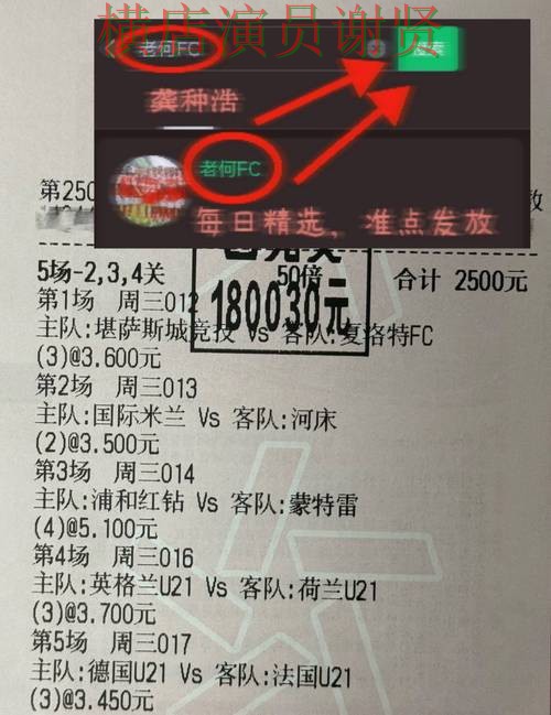 乐鱼世界杯赔率变化趋势与投注策略解析